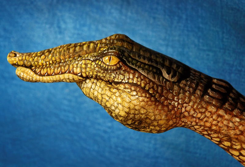 Hand 'animal' paintings by Guido Danielle