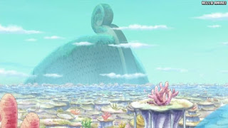 ワンピースアニメ 魚人島編 557話 | ONE PIECE Episode 557