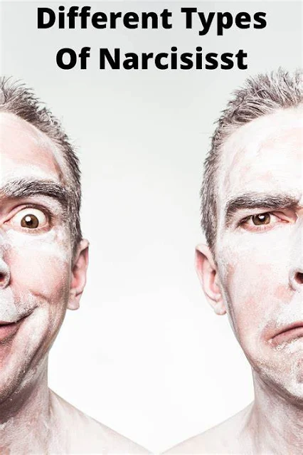 What are the different types of narcissistic disorder?