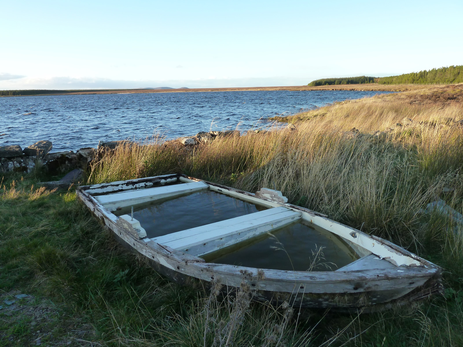 Beside the Lochmore Cottage was an old wooden boat full of water. If 