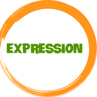 Learn Microsoft Expression Web