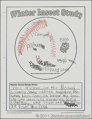 winter weds insect page