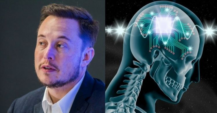 Cara Kerja Chip yang Ditanam ke Otak, Buatan Elon Musk: Bisa Panggil Mobil hanya dengan Pikiran, naviri.org, Naviri Magazine, naviri majalah, naviri