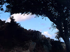 HINTERLAND Ikaria 13: Sky through tree shades