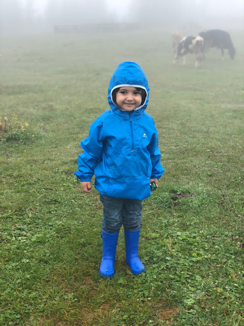 doğu karadeniz, rize, gezilecek yerler, ortan, pokut, gito, yayla, batum, karadeniz turu, tur, gezi, seyahat, trabzon, artvin, nerede konaklanır, hozboncuk, platoda mola, demircioğlu, konak, karadeniz ne yenir, ne alınır, nereleri gezilir, keşfetmek, bugün nereye gitsek, yaz mevsimi