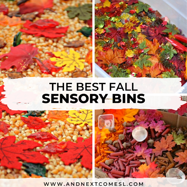 Fall sensory bin ideas