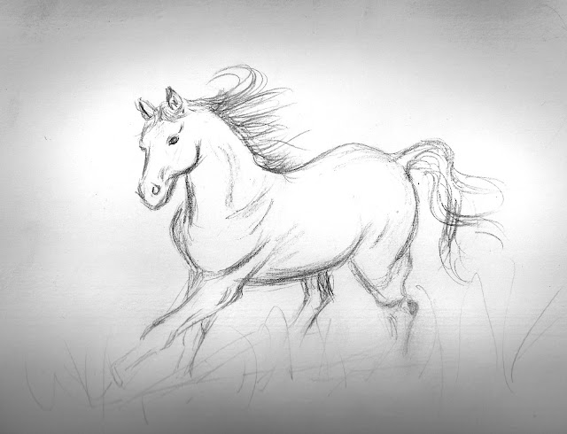 simple beautiful horse running pencil drawing bw