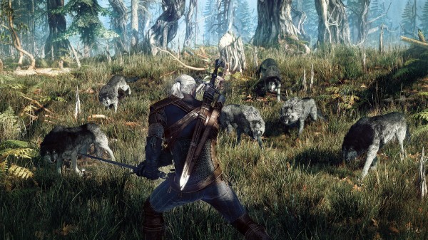 The Witcher 3 Wild Hunt