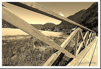 IMG_4830