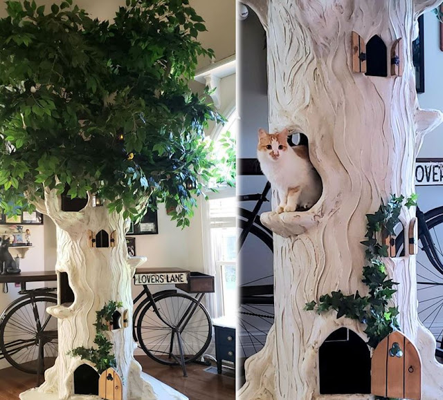 Large Cat Trees for Maine Coon and other Large Breed Cats