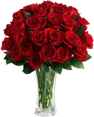 Manfaat Bunga Mawar Yang Tidak Kamu Ketahui | Artikel ...