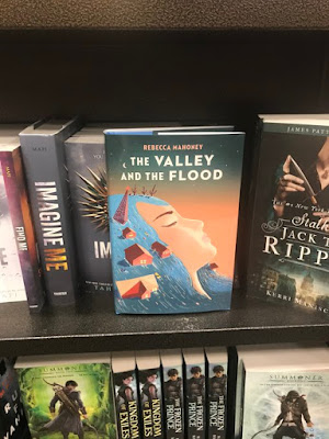 Spotlight on New Book Debut Author Rebecca Mahoney #TheValleyandtheFlood #NewBook #DebutAuthor #2021Books #teen #yafiction #MagicalRealism #BN