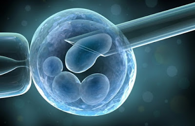 Điều trị bằng tế bào gốc là gì?
