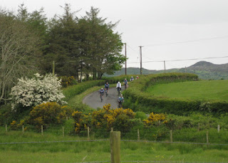 Our cycling group descending a hill flanked by stone walls and blooming hawthorne and gorse, near Ballymagany Lough, County Donegal, Ireland