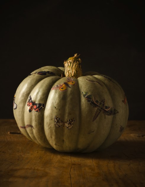 has made these great pumpkin centerpieces that have decoupaged butterflies 