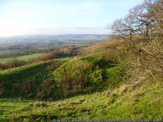 Wye National Nature Reserve