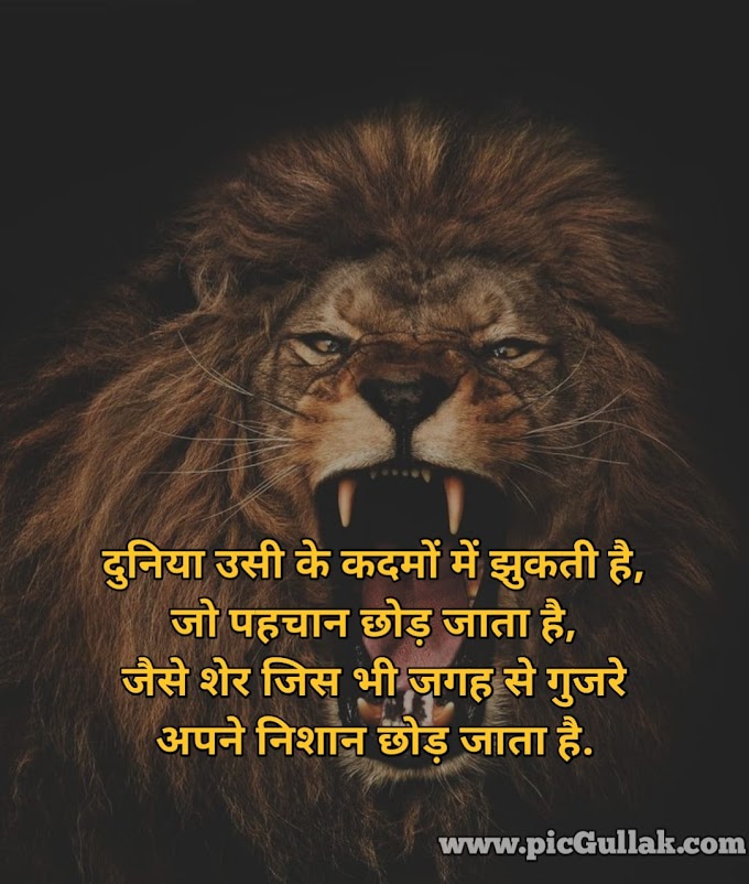 शेर शायरी | Best Sher shayari hindi