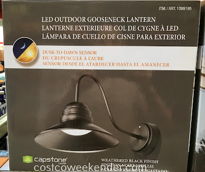Costco 1099195 - Capstone LED Outdoor Gooseneck Lantern: great for any home's exterior
