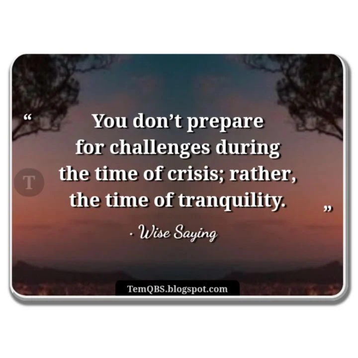 You don’t prepare for challenges during the time of crisis; rather, the time of tranquility - Wise Words: Quote