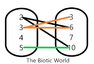 5. A={2,3,4,5} and B={3,6,7,10} be two sets and a relation R is defined as R={(x,y): x completely divides y where x Є A and y Є B}. Write the relation R in the tabular form. Also represent R by arrow diagram and matrix table- Advance Math Class 10 - Exercise 1.3