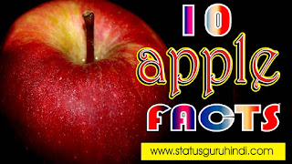 Apple Facts in Hindi  Health Benefits of Apple in Hindi  Status Guru Hindi