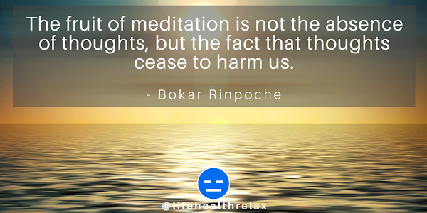 Bokar Rinpoche Quotes