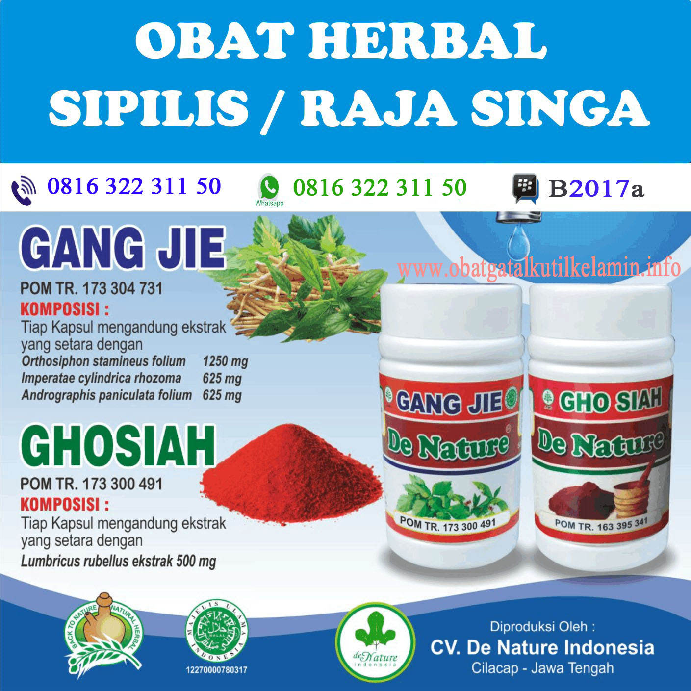 Obat Kutil Kelamin