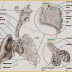 what is the cause of malignant mesothelioma