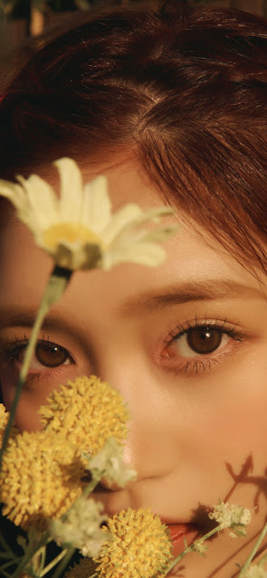 "Love Dive" (stylized in all-caps) is the second single album by IVE. It was released on April 5, 2022 with "Love Dive" serving as the single's title track.