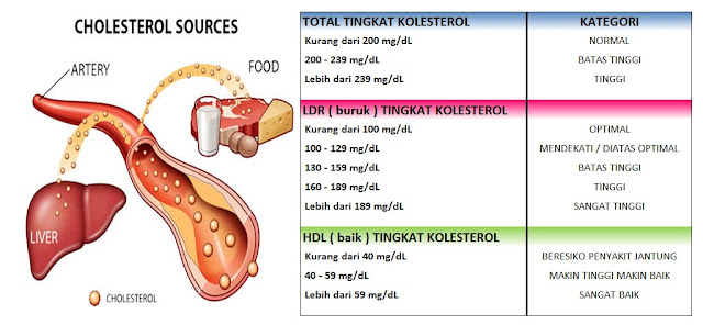 Chek Tabel Tingkat Kolesterol dan Tekanan Darah Anda Normal atau Tinggi ?