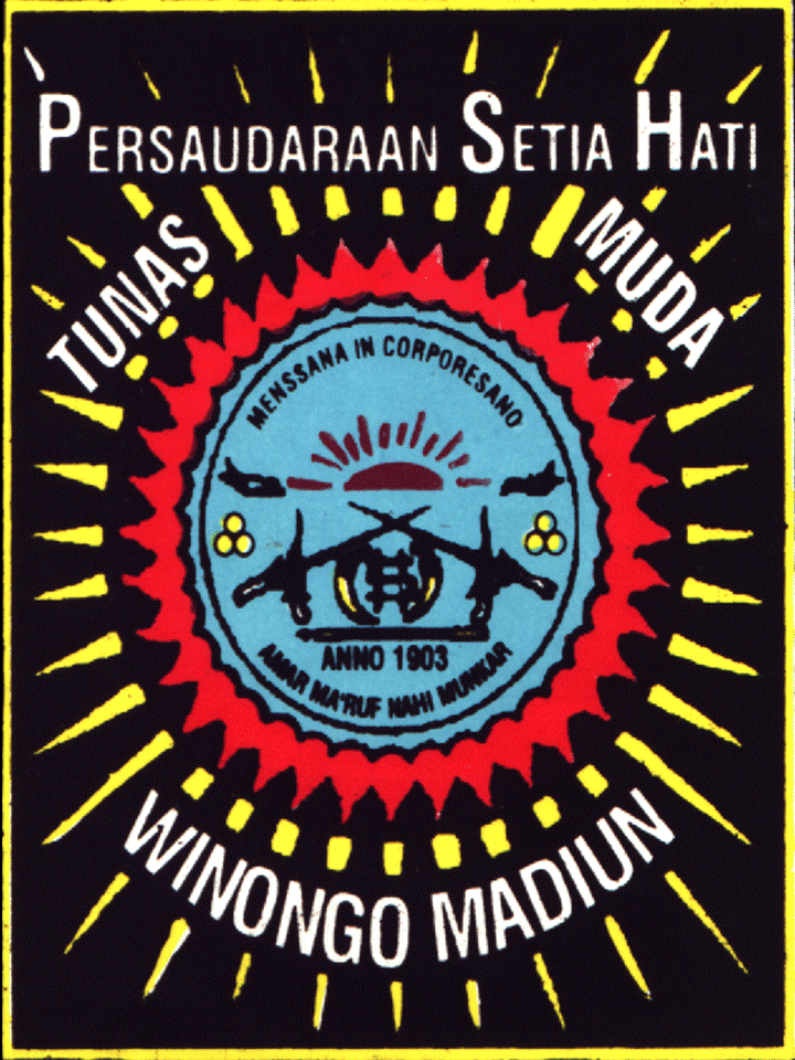 Tingkatan Sabuk Setia Hati Winongo Jejak Belajar