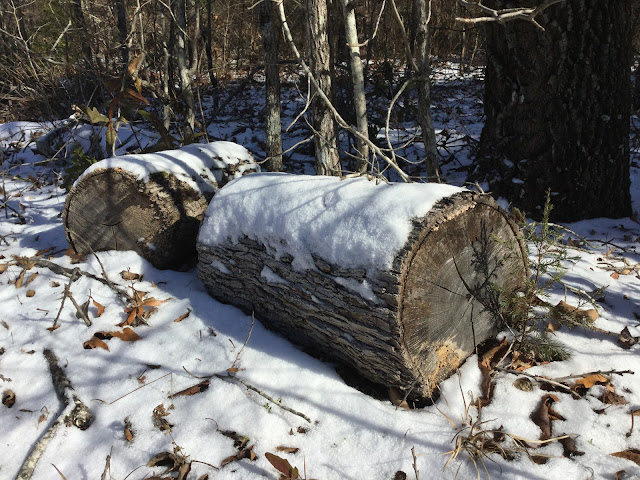 snow, logs, Peach County, Georgia