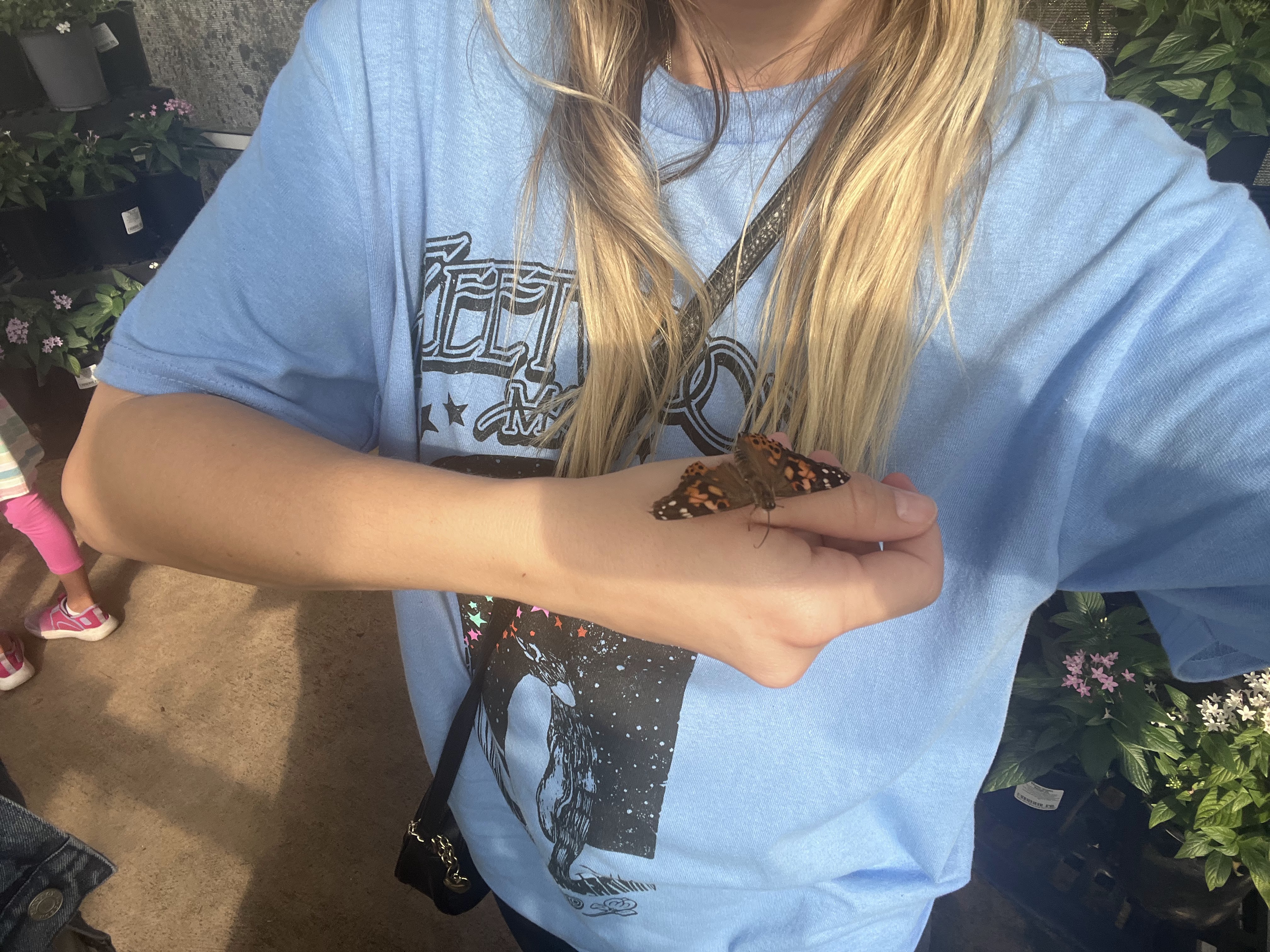 Butterfly Encounter at Lukas Nursery