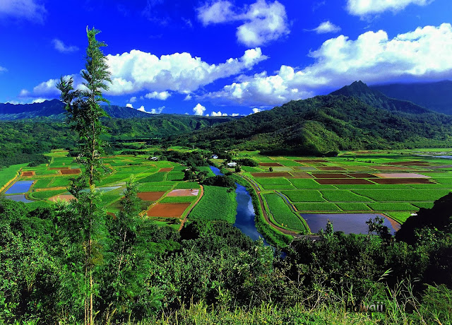 hawaiian island, hawaiian islands, island, island view, hawaii, 