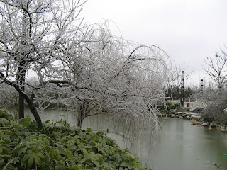 ice garden