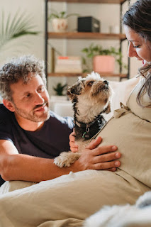 Can dogs sense pregnancy?