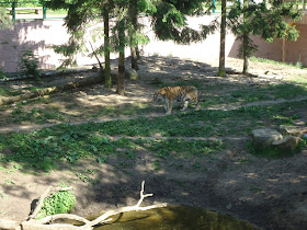 Zoos in Brandenburg Zoo Eberswalde - 1 