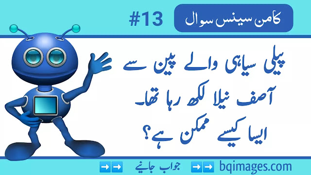 Common Sense Questions in Urdu
