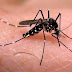 Governo promete vistoriar 100% das casas contra Aedes aegypti