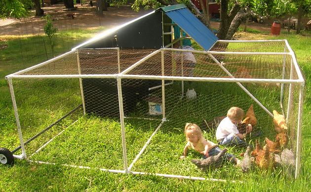 Free Plans for Chicken Pasture Pen Made From PVC pipes from pvc plans