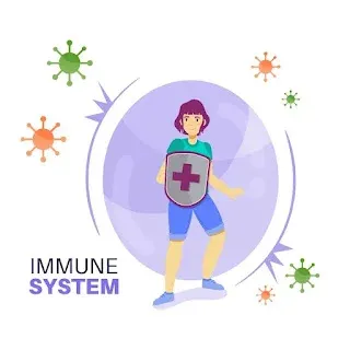 Viral infections and immune system