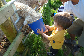 On holiday at Croft Farm and Celtic Cottages, Pembrokeshire