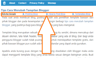 Blog Pantura - Google Adsense