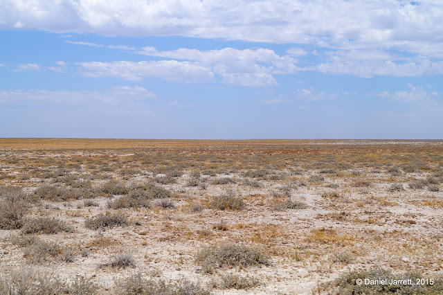 Etosha National Park Scenery, Namibia