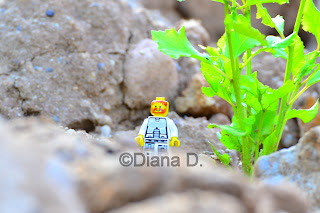 Bild mit Legomann in einer anderen Umgebung, so ist er zwischen großen Steinen gelandet