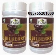 Kapsul Bilberry | HPAI | Jual | Murah | Grosir | Surabaya | Sidoarjo 