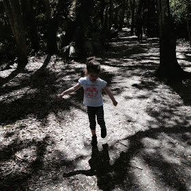 hiking in Myakka River State Park