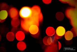 4150644866_5cb8bfaeb0[2]