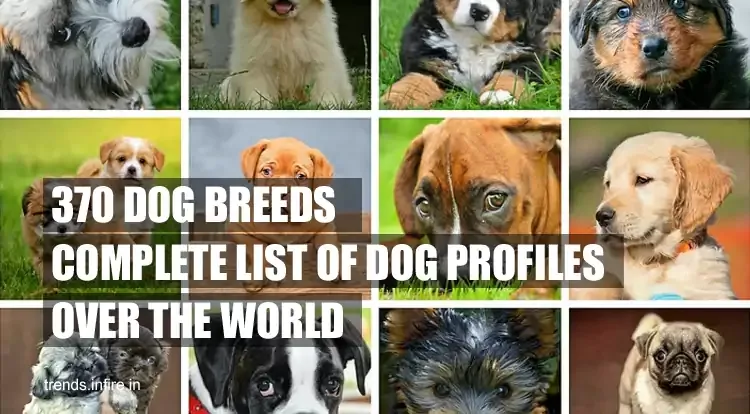 All Dog Breeds Info
