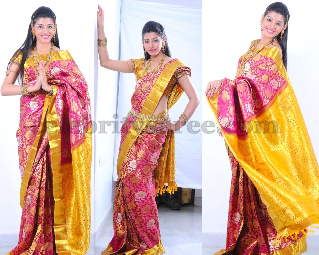 Model with Silk Floral Work Saree 